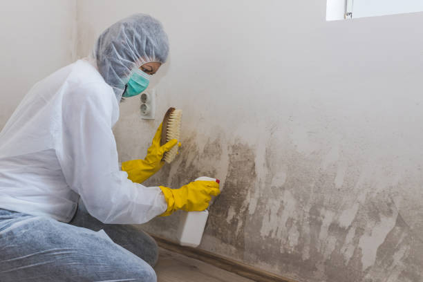 Forensic Mold Investigation in Wakeeney, KS